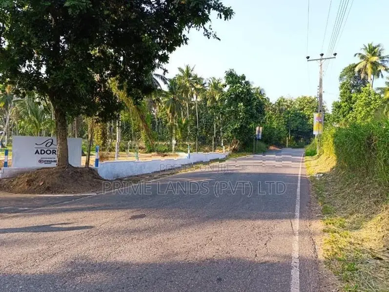 නයිවලින් බිම්කොටස්