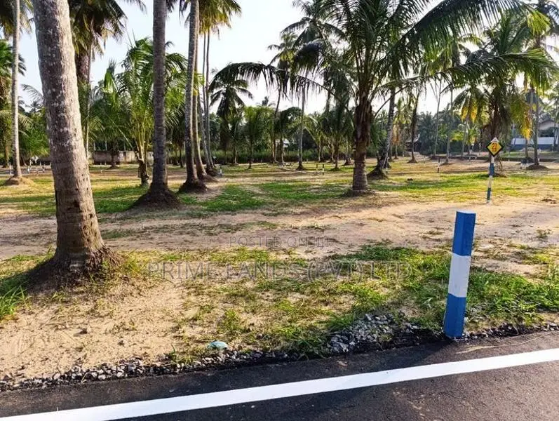 නයිවලින් බිම්කොටස්