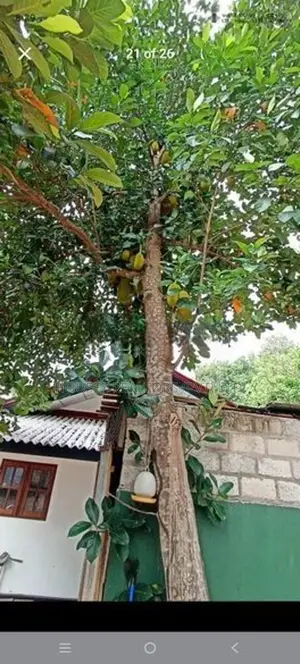 House with 40 Perches of Land for in Puttalam