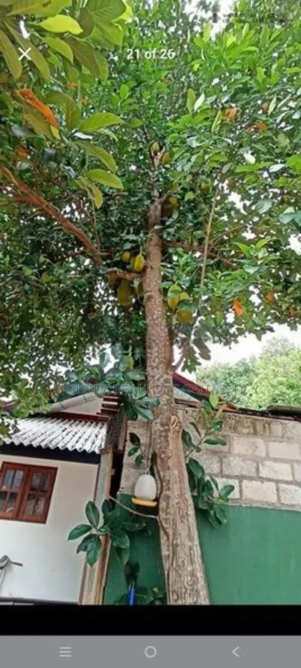 House with 40 Perches of Land for in Puttalam