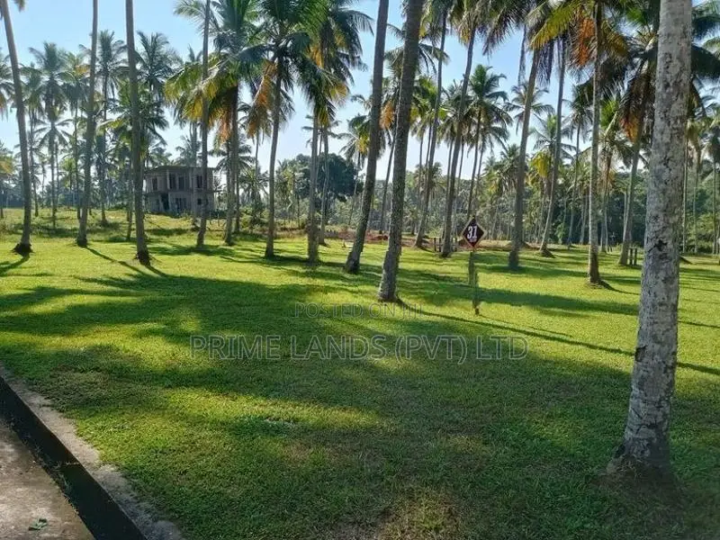 උඩුගම්පොළින් නේවාසික බිම් කොටස්