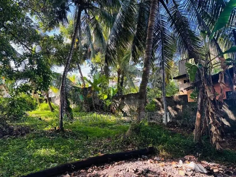 Commercial Land for Sale in Piliyandala Kesbewa