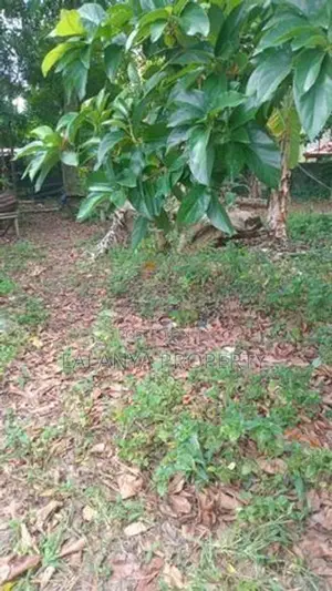08 Perch Bare Land for Sale in Nugegoda – Gamsabha CVVV –A1
