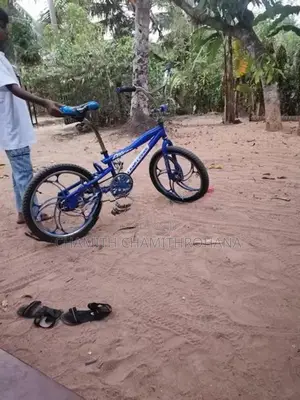 Tomahawk Bicycle