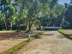 කඩවත කිරිල්ලවලින් නේවාසික බිම් කොටස්