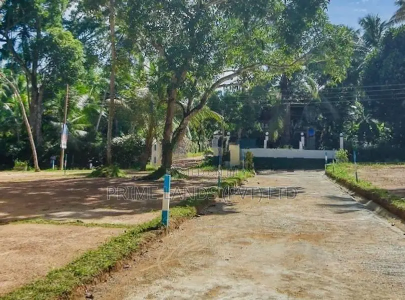 කඩවත කිරිල්ලවලින් නේවාසික බිම් කොටස්