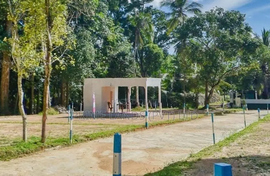 කඩවත කිරිල්ලවලින් නේවාසික බිම් කොටස්