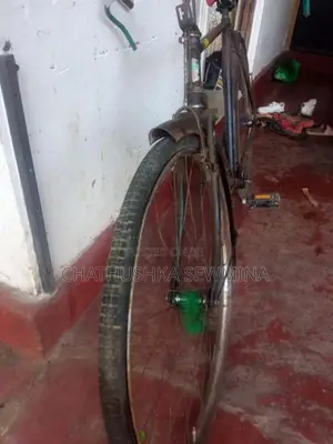 Lumala Relegh Bicycle