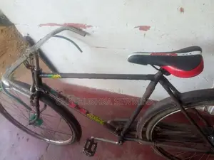 Lumala Relegh Bicycle