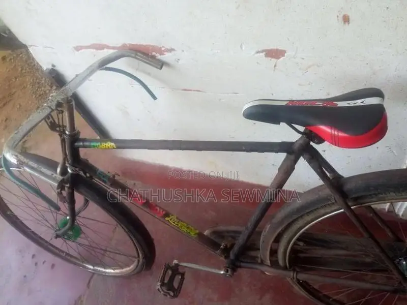 Lumala Relegh Bicycle
