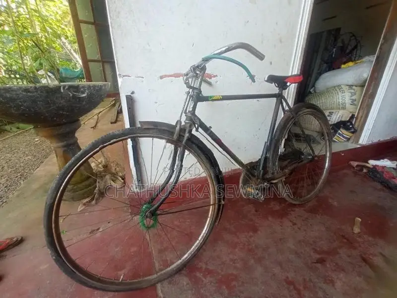 Lumala Relegh Bicycle