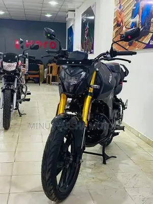 Hero Hunk 160R Brand New 2026