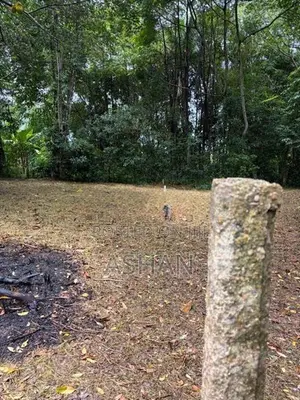 19.7 Perch - Land for Sale in Imbulgoda