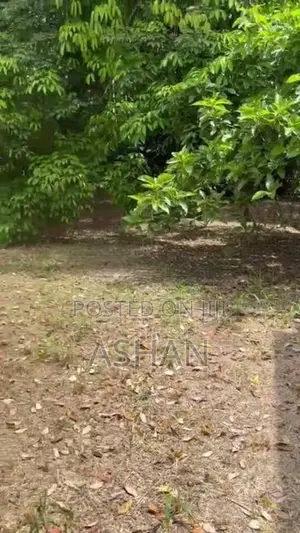 19.7 Perch - Land for Sale in Imbulgoda