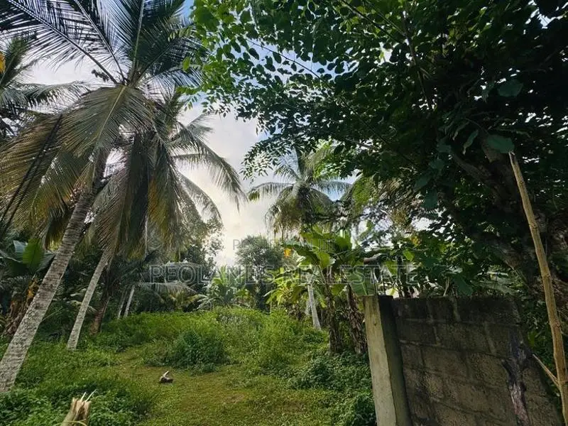 (RL713) 18 Perch Land for Sale in Bandaragama