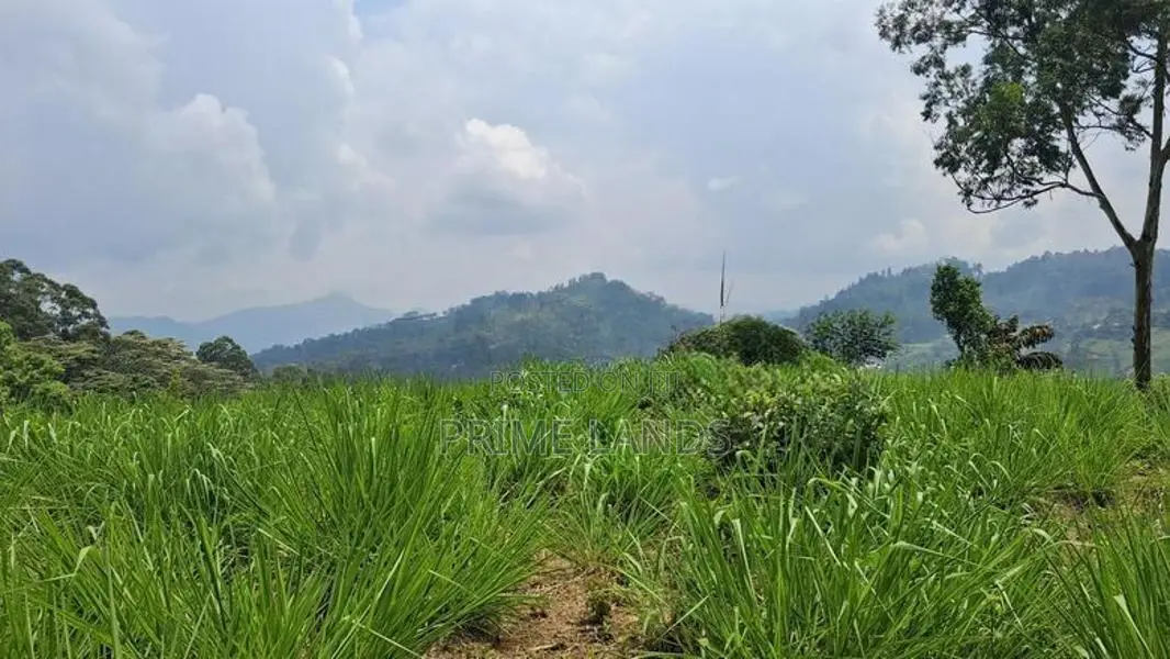 Land for Sale in Pussellawa