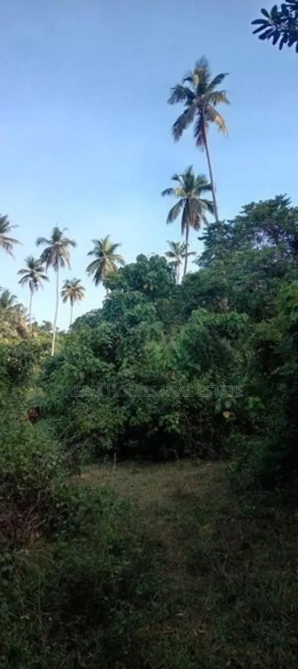 520 Perches Coconut Land For Sale – Pothuhera, Kalugamuwa In Kurunegal