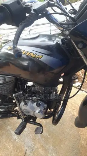 Bajaj Platina 100 2018