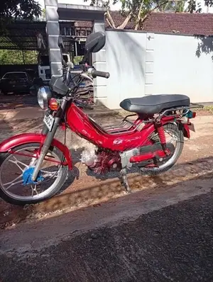 Singer Safari 2022