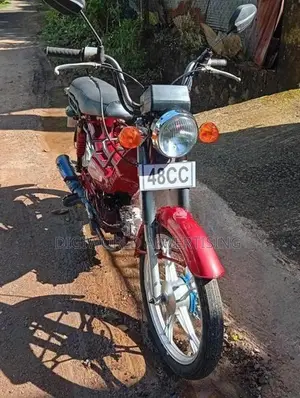 Singer Safari 2022