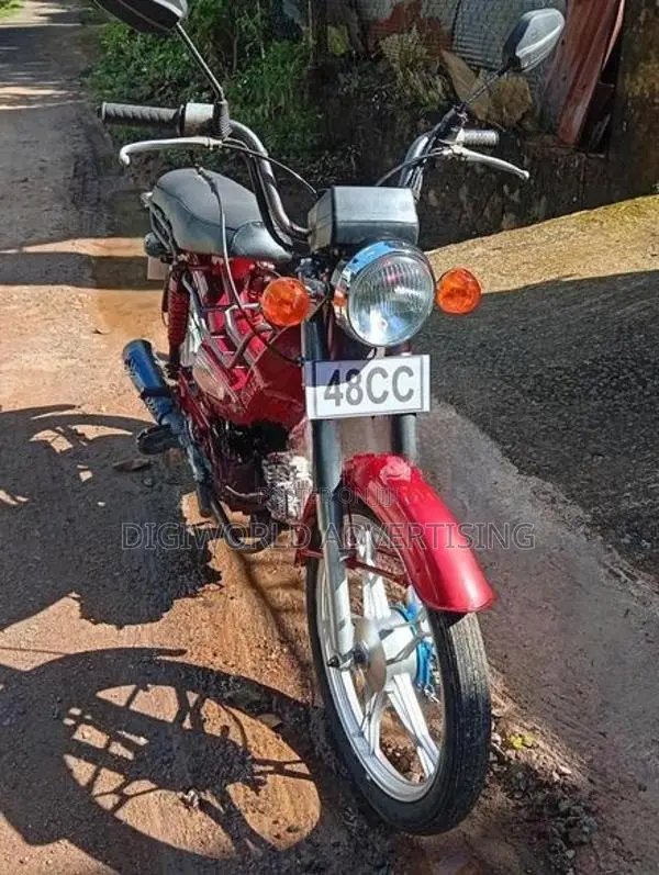 Singer Safari 2022