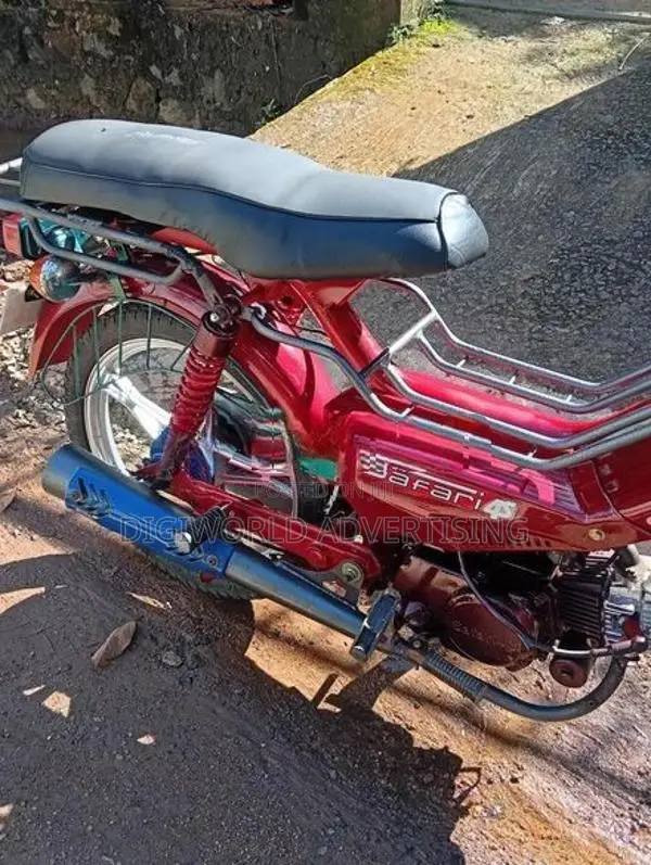Singer Safari 2022