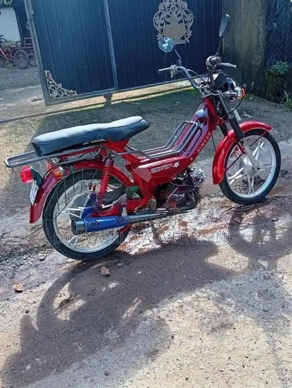 Singer Safari 2022