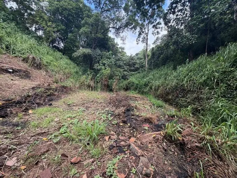 Land for Sale Kandy City (Lady Gorden Road)