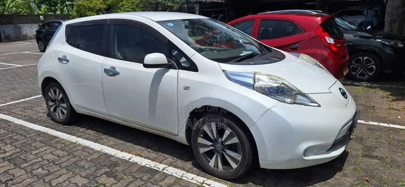 Nissan Leaf 2013