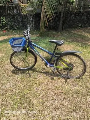 Shimano Bicycle "22"