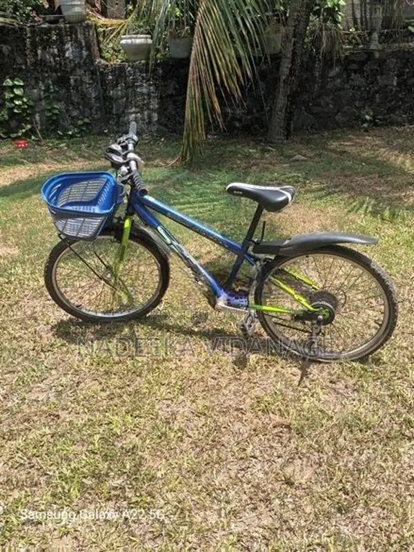 Shimano Bicycle "22"