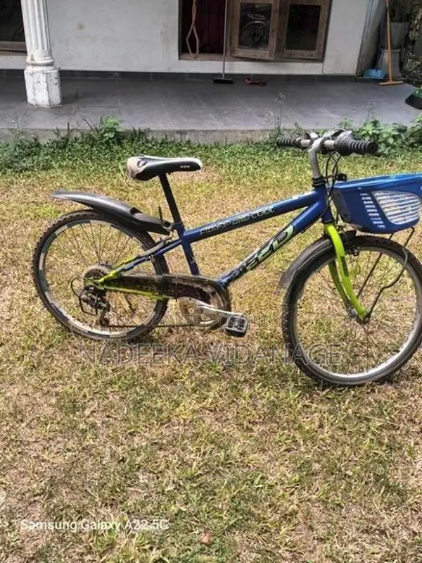 Shimano Bicycle "22"