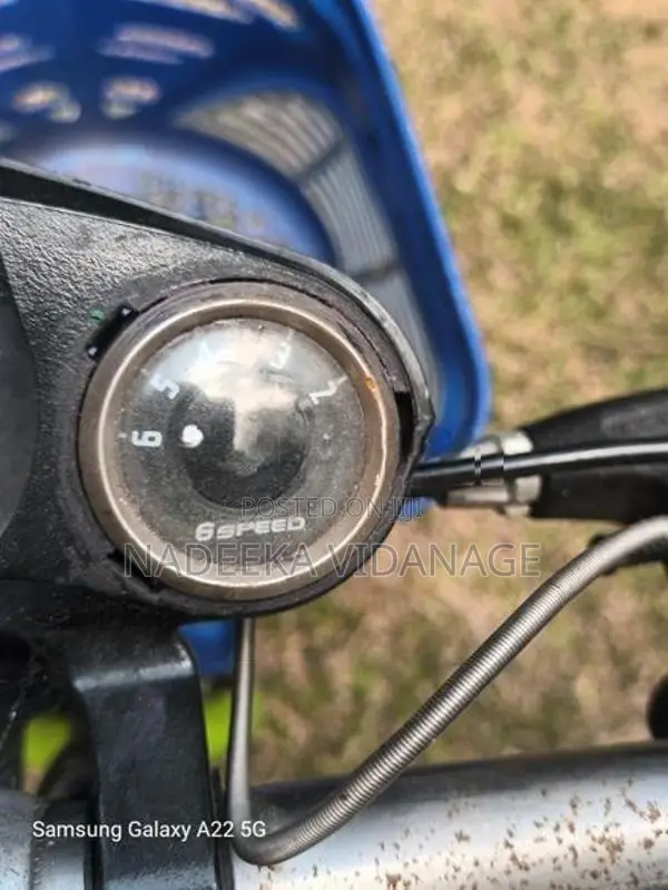 Shimano Bicycle "22"