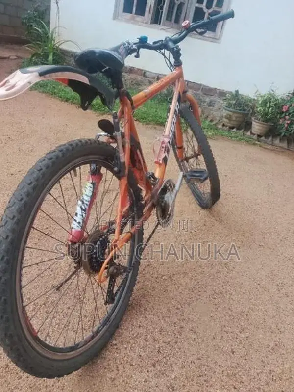 Lumala Bicycle Mountain