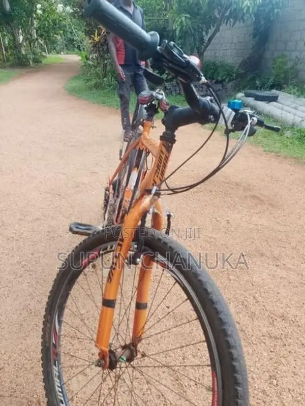 Lumala Bicycle Mountain