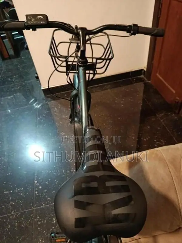 Lumala Bicycle