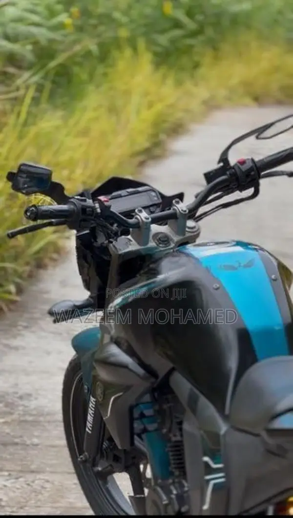 Yamaha FZs V2 2016