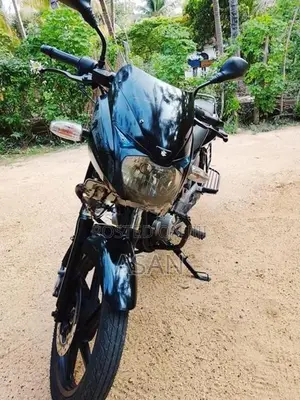 Bajaj Pulsar 150 2010