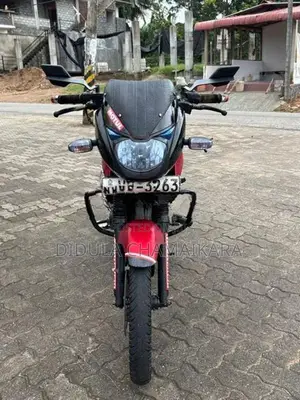 Bajaj Pulsar 150 2010