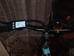 E-Bicycle (e-Duro)