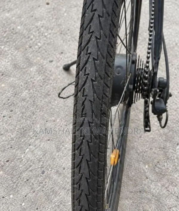 E-Bicycle (e-Duro)