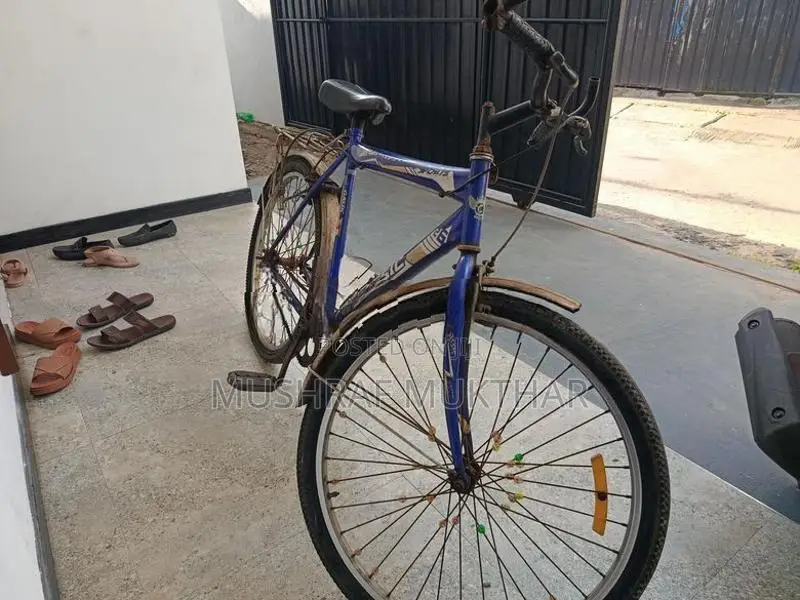 Classic Mountain Bicycle
