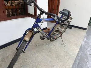 Classic Mountain Bicycle