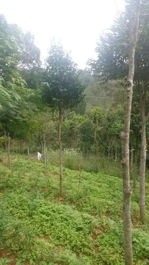 Land for Sale - Bandarawela