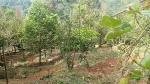 Land for Sale - Bandarawela