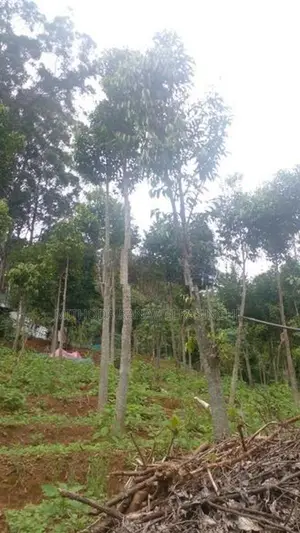 Land for Sale - Bandarawela