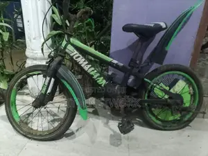 Kids Bicycle Tomahawk
