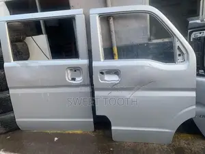 Every Buddy Van Doors