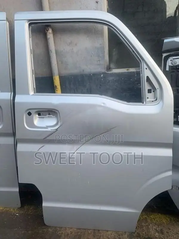 Every Buddy Van Doors