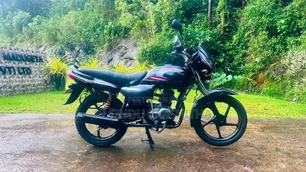 Bajaj Platina 100 2015